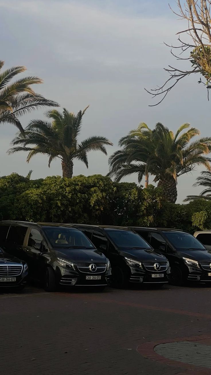 Mercedes Sprinter VIP illustrative vehicle
